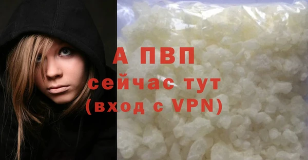 винт Верея