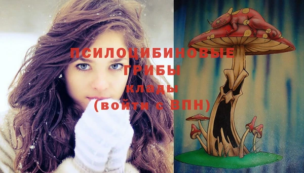 соль ск Верхнеуральск