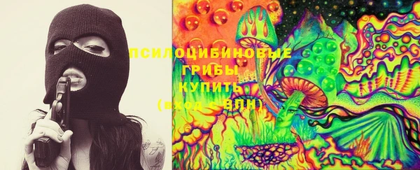 винт Верея