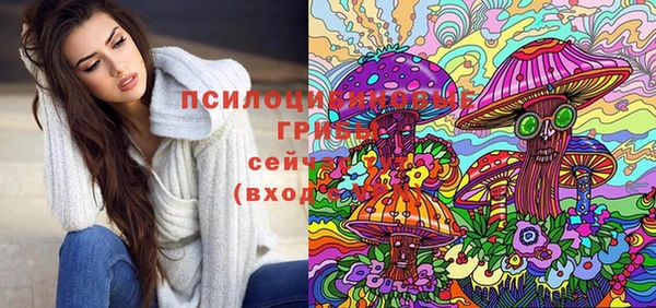 соль ск Верхнеуральск