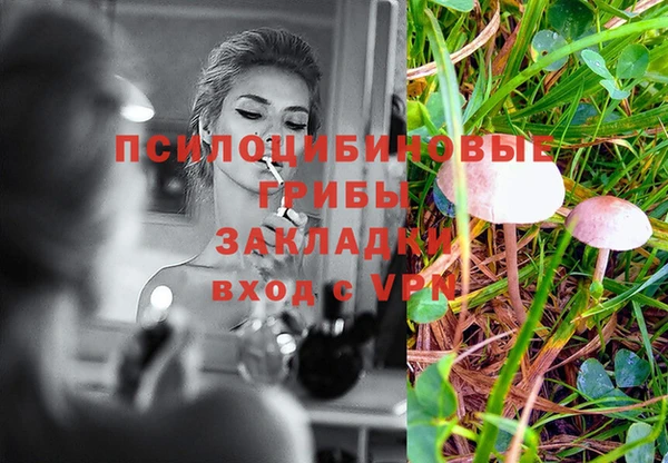 спайс Верхний Тагил