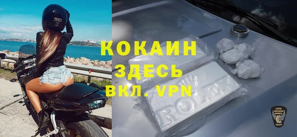 винт Верея