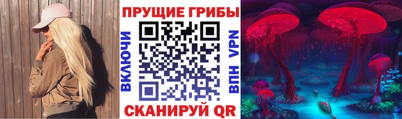 купить   площадка формула  Галлюциногенные грибы Magic Shrooms  Вилюйск  omg ссылки 